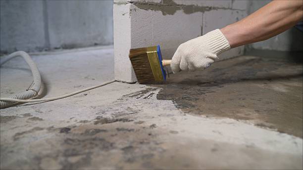 SJ Waterproofing Pros Waterproofing coverage map for Trenton, IL and surrounding area